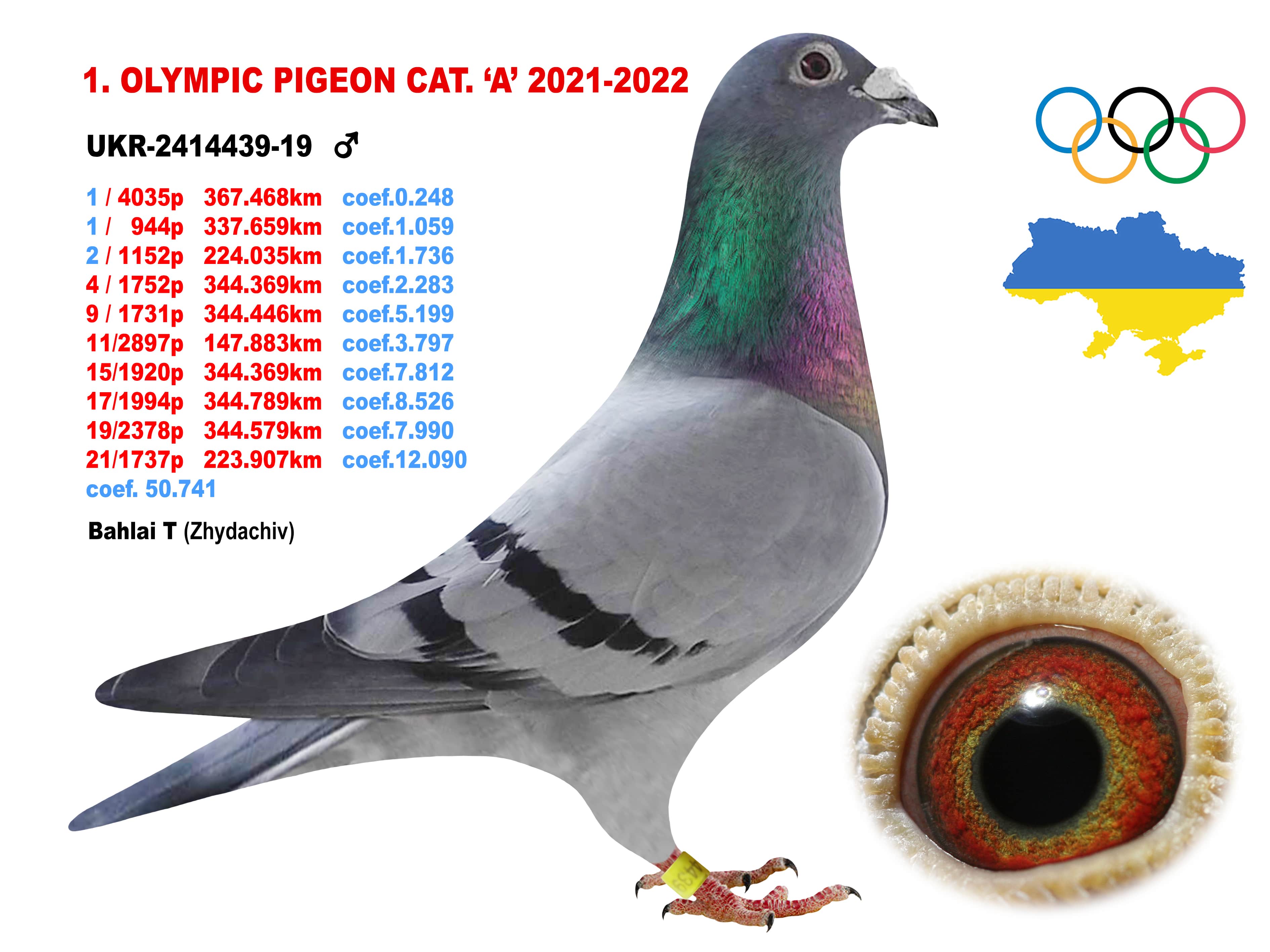 2022-A1